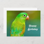 Pretty Green Papegaai Foto Verjaardag Briefkaart (Voorkant / Achterkant)