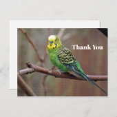 Pretty Green Parkiet Foto Bedankt Briefkaart (Voorkant / Achterkant)