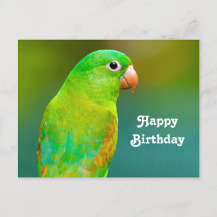 Pretty Green Parrot Foto Verjaardag Briefkaart