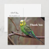 Pretty Groene Parkiet Foto Bedankt Briefkaart (Voorkant / Achterkant)