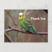 Pretty Groene Parkiet Foto Bedankt Briefkaart (Voorkant)