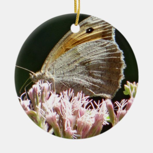 Pretty grote vlinder keramisch ornament (Voorkant)