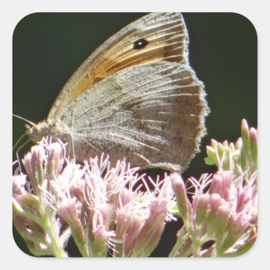 Pretty grote vlinder vierkante sticker (Voorkant)