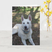 pretty kaart (Gele Bloem)