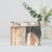 Pretty Llama Farm Animal Personalized Briefkaart (Staand voorkant)