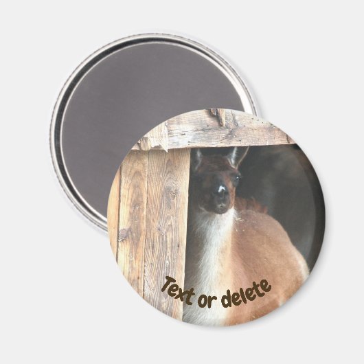 Pretty Llama Farm Animal Personalized Magneet (Voorkant / Achterkant)
