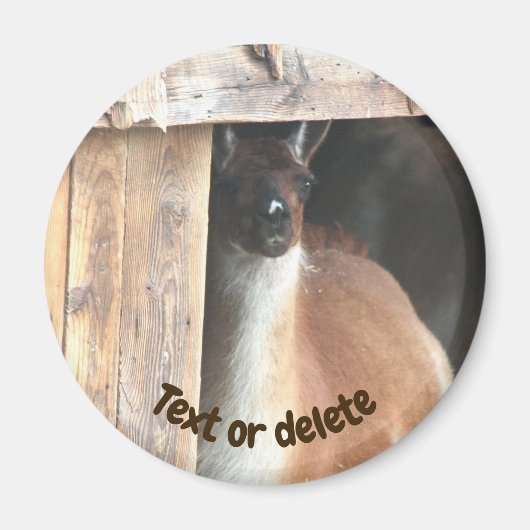 Pretty Llama Farm Animal Personalized Magneet (Voorkant)