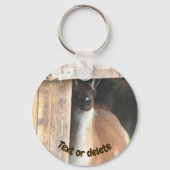 Pretty Llama Farm Animal Personalized Sleutelhanger (Voorkant)
