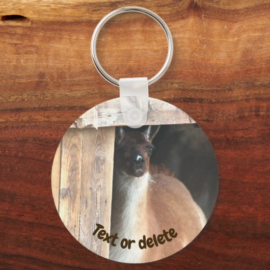 Pretty Llama Farm Animal Personalized Sleutelhanger (Voorkant)