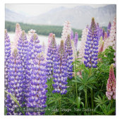 Pretty Lupins @ Lake Tekapo New Zealand Tegeltje (Voorkant)