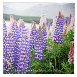 Pretty Lupins @ Lake Tekapo New Zealand Tegeltje