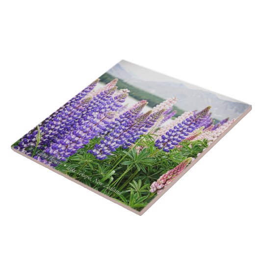 Pretty Lupins @ Lake Tekapo New Zealand Tegeltje (Zijkant)