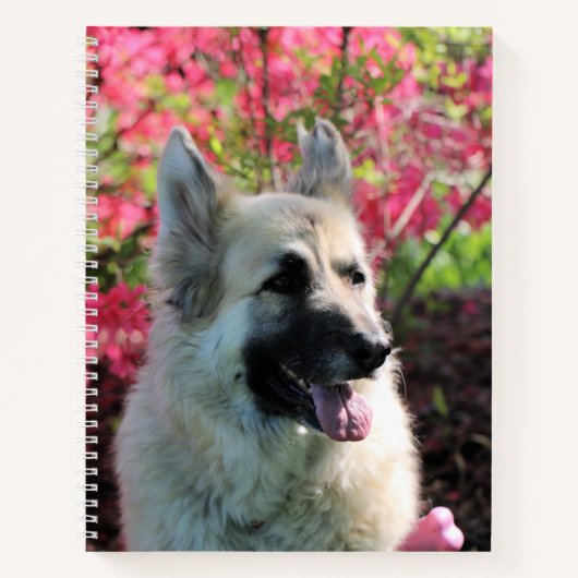 Pretty Notitieboek (Voorkant)