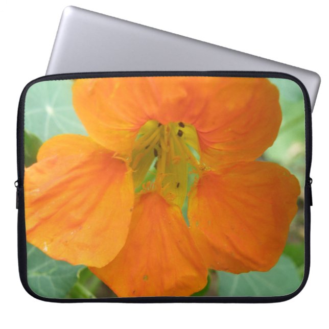 Pretty Oranje Nasturtium Bloem Laptop Tas (Voorkant)