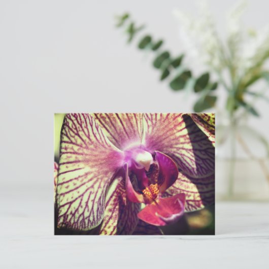 Pretty Orchid Flower Personalized Briefkaart (Staand voorkant)