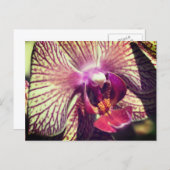 Pretty Orchid Flower Personalized Briefkaart (Voorkant / Achterkant)