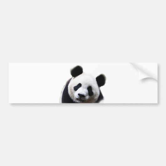 Pretty Panda Kunstwerk Bumper Sticker (Voorkant)
