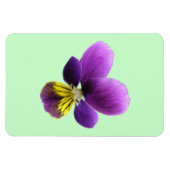 Pretty Pansy Premium Magneet (Horizontaal)