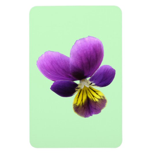 Pretty Pansy Premium Magneet (Verticaal)