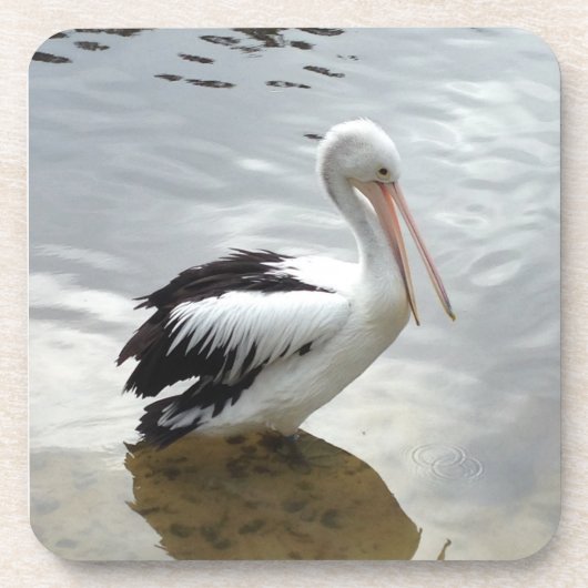 Pretty Pelican Coaster Set Bier Onderzetter (Voorkant)