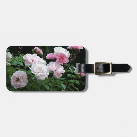 pretty pink and white rose flower bushes. Floral, Bagagelabel (Voorkant horizontaal)
