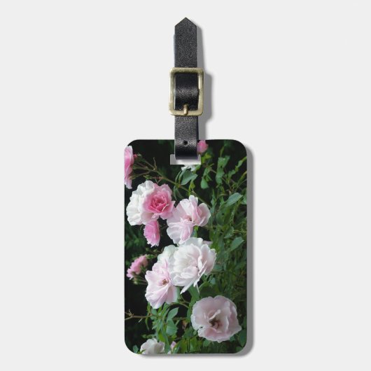 pretty pink and white rose flower bushes. Floral, Bagagelabel (Voorkant verticaal)