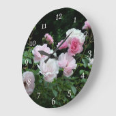 pretty pink and white rose flower bushes. Floral, Grote Klok (Hoek)