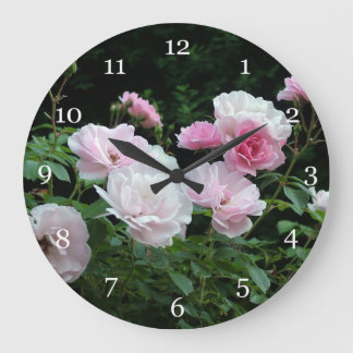 pretty pink and white rose flower bushes. Floral, Grote Klok