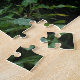 pretty pink and white rose flower bushes. Floral, Legpuzzel