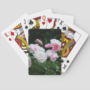 pretty pink and white rose flower bushes. Floral, Speelkaarten