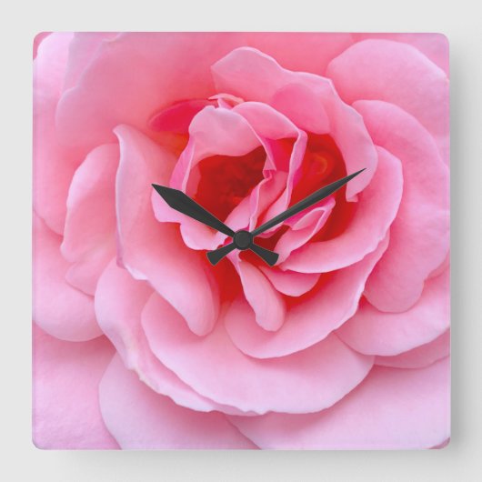 Pretty pink rose vierkante klok (Voorkant)