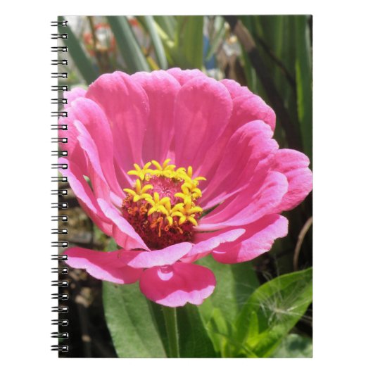 Pretty Pink Zinnia Notitieboek (Voorkant)
