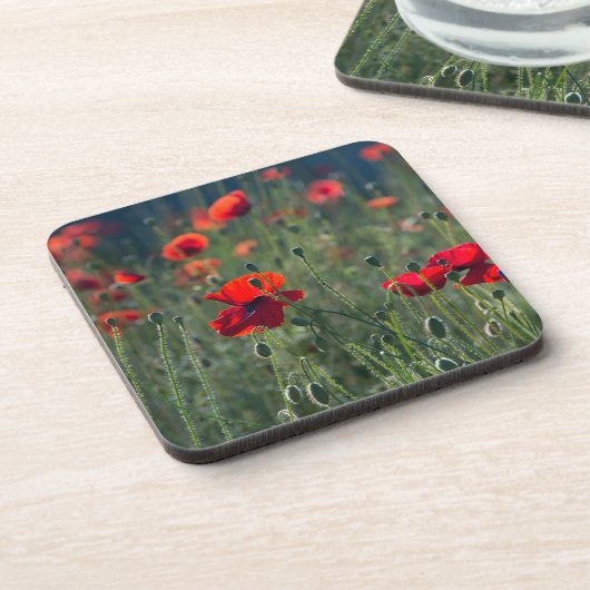 Pretty Poppies in Wild Meadow Photo Bier Onderzetter (Linkerzijde)