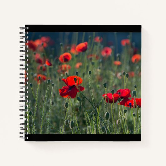 Pretty Poppies in Wild Meadow Photo Notitieboek (Voorkant)
