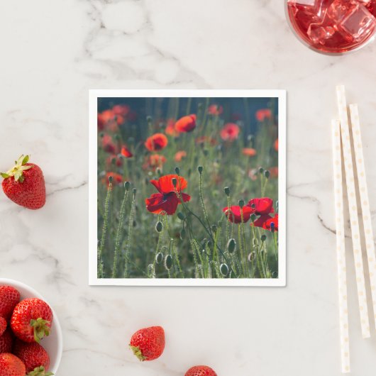 Pretty Poppies in Wild Meadow Photo Servet (Insitu)