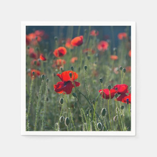 Pretty Poppies in Wild Meadow Photo Servet (Voorkant)
