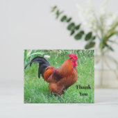 Pretty Red Chicken Profielfoto Bedankt Briefkaart (Staand voorkant)
