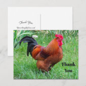 Pretty Red Chicken Profielfoto Bedankt Briefkaart (Voorkant / Achterkant)
