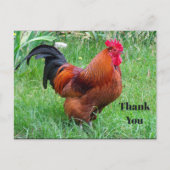 Pretty Red Chicken Profielfoto Bedankt Briefkaart (Voorkant)