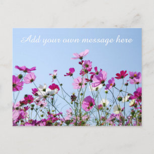 Pretty Roze Weide Aangepaste Bericht Briefkaart