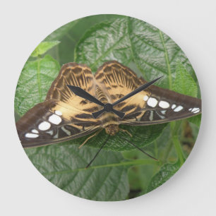 Pretty Tropical Clipper Butterfly Wall Clock Grote Klok