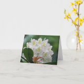 Pretty White Azalea Flower Photography Note Kaart (Gele Bloem)