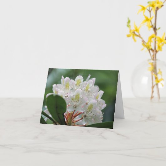Pretty White Azalea Flower Photography Note Kaart (Gele Bloem)