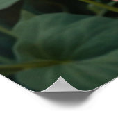 Pretty white orange cat in floral garden poster (Hoek)