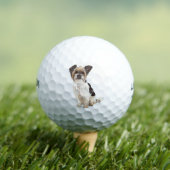Pretty Yorkshire Terrier and ShihTzu Crossbreed Golfballen (Insitu Shirt)