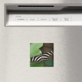 Pretty Zebra Langvleugelvlinder Magneet (Insitu (Vaatwasser))