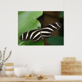 Pretty Zebra Longwing Vlinderprint Poster (Keuken)