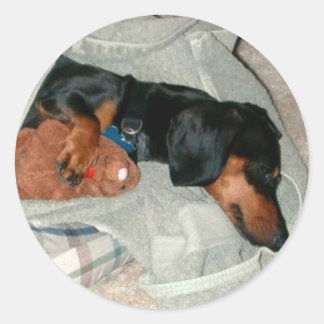 Pretzel & Pal Ronde Sticker