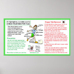 Preventie van de ziekte van Lyme bij het verwijder Poster