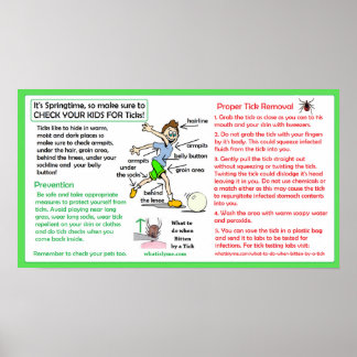 Preventie van de ziekte van Lyme bij het verwijder Poster